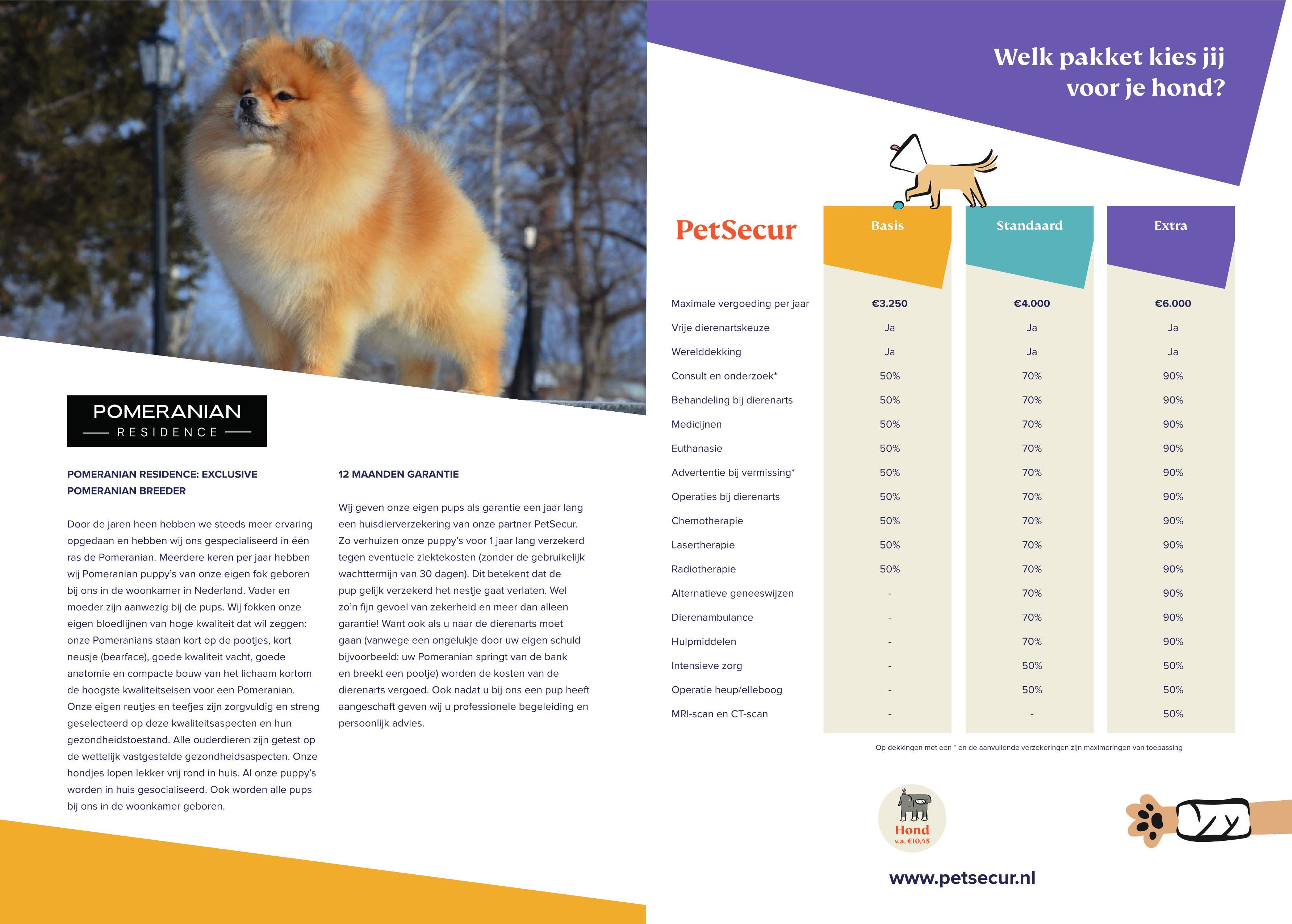 pet-secur-flyer-pomeranian-v1.page2.jpg